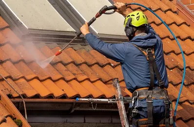 Démoussage et hydrofuge de toiture à Lalley